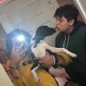 Meet your Posher, Ari